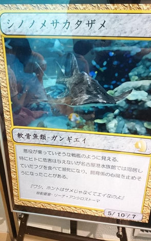 ウケた画像w：コメント6416