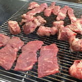 猫を連れ去り50匹以上殺害 51歳男の身勝手な動機による凶行に戦慄走る：コメント60