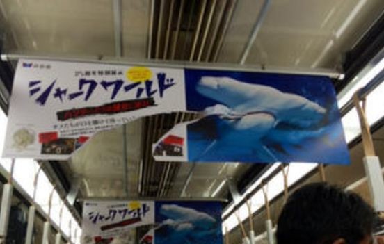 ウケた画像w：コメント6606