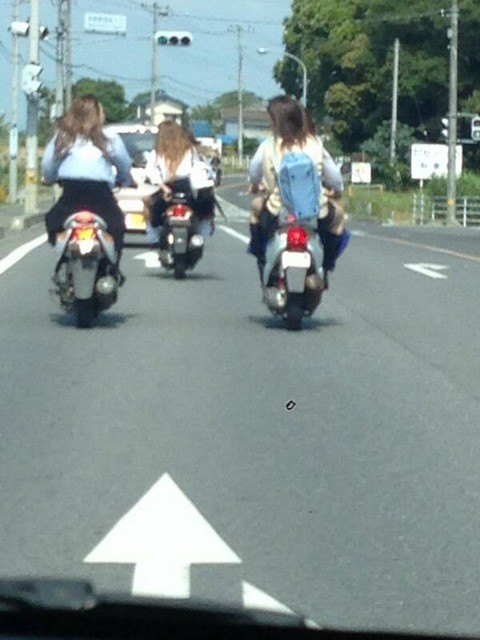 ウケた画像w：コメント6626