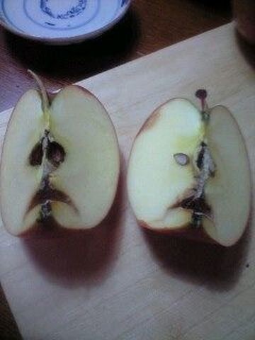 ウケた画像w：コメント6623