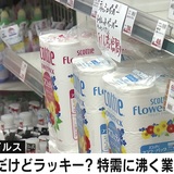 “ペーパー品薄”騒動、製紙業界のホンネ「迷惑どころか、往復ビンタだ」