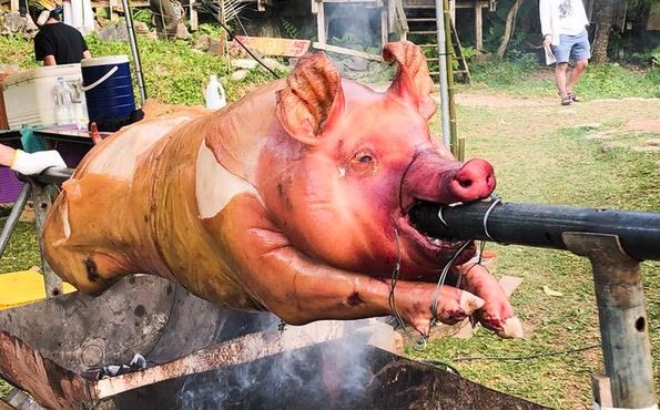 コロナ患者激白「喉に金串が刺さったような耐え難い痛み」：コメント19