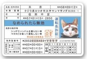 コロナでマイカー再評価、免許を持たない若者たちの後悔と焦り：コメント128