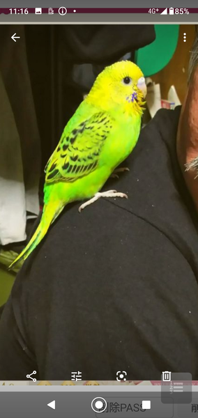 ãâãã¼ãã¯çµ¶å¯¾ã«å²ãåâç·ãæ¥å¢ä¸­!? å¥³æ§ã«å¥¢ããªã5ã¤ã®çç±ï¼ã³ã¡ã³ã6587