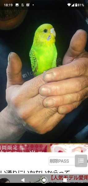 ãâãã¼ãã¯çµ¶å¯¾ã«å²ãåâç·ãæ¥å¢ä¸­!? å¥³æ§ã«å¥¢ããªã5ã¤ã®çç±ï¼ã³ã¡ã³ã6714