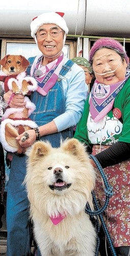 人気の秋田犬「わさお」が8日に死ぬ 死因は多臓器不全：コメント6