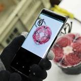 くら寿司、AIで「特上マグロ」見抜く　コロナ禍での仕入れを効率化