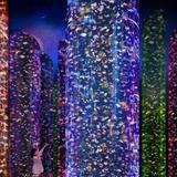 金魚が衰弱したまま…人気展「アートアクアリウム」現場画像が波紋　取材に主催「今はまるで違う」