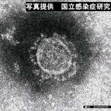 「新型コロナウイルスを死滅」高出力のLED、徳島の企業が開発