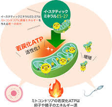 最低すぎる！ 高齢出産をした女性が周囲にされた暴言3選：コメント85