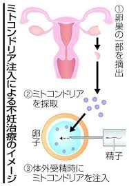 最低すぎる！ 高齢出産をした女性が周囲にされた暴言3選：コメント93