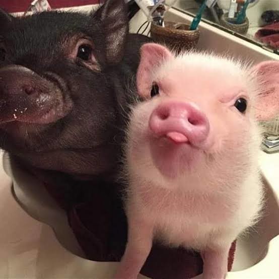 「“デートは絶対に割り勘”男」急増中!? 女性に奢らない5つの理由：コメント8105