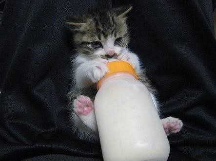 松本潤 日傘を笑顔で断り…『99.9』でのイケメンすぎる座長姿:コメント3