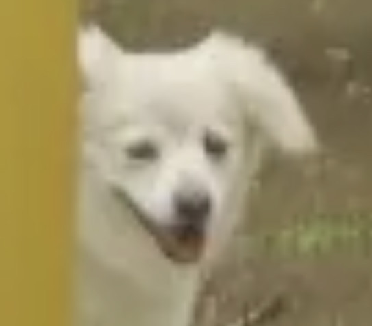 堀北真希の妹NANAMIが「イケメン若手俳優」栁俊太郎とデート:コメント3