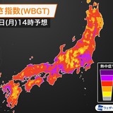 東京など21都府県に熱中症警戒アラート　猛暑続き、熱中症に警戒