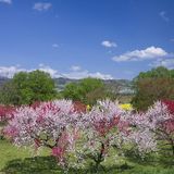 「主人が帰ってこない」…2年で3人が自殺　長野