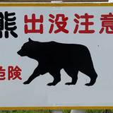 秋田のクマ被害、駆除への“無責任”クレームに近隣住民が猛反論「子どもの命がかかっている」