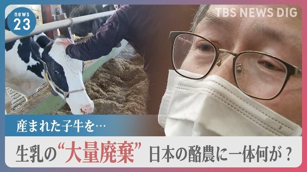 おむつは使い回し　食卓から消えた卵　洗濯は1日1回　物価高、子ども4人の家庭を直撃：コメント9