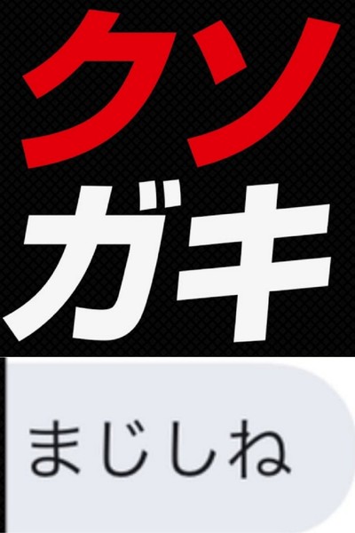 「一時停止していない」と園児が指摘、送迎バス運転手「じゃあ降りろ」と強制的に降ろす：コメント20