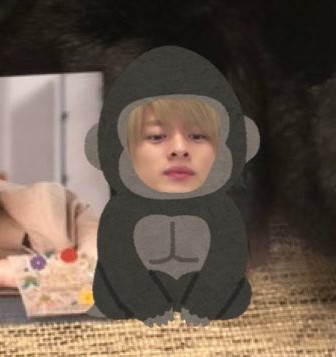 紗栄子、“平野紫耀推し”公言 King ＆ Princeの楽曲に即反応も「オタ活っぷりがすごい」：コメント2