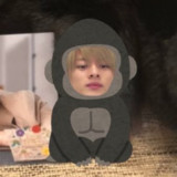 紗栄子、“平野紫耀推し”公言 King ＆ Princeの楽曲に即反応も「オタ活っぷりがすごい」