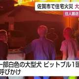 火事で”大型犬ピットブル”1頭が逃走中 注意呼びかけ 佐賀市で住宅1棟全焼【佐賀県】