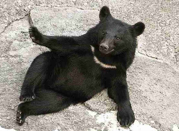 辻希美　体調不良に悩まされていることを告白：コメント2