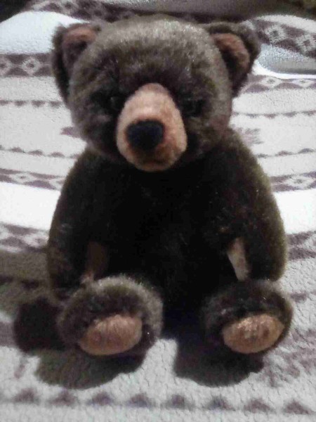 「意図的に人間を攻撃」クマの被害拡大に専門家集団が警鐘「もはや個人の努力では防げない」：コメント2