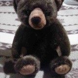 「意図的に人間を攻撃」クマの被害拡大に専門家集団が警鐘「もはや個人の努力では防げない」