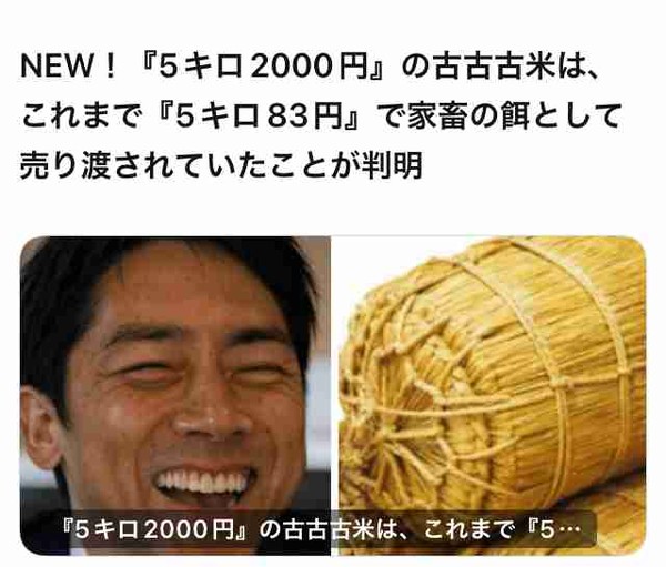 小泉進次郎に苦言で批判殺到、野村哲郎元農相（81）が巨額“JAマネー”をもらっていた：コメント2