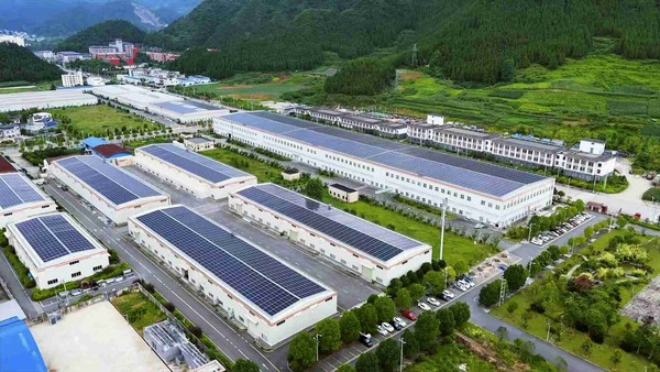 中国、世界の一大抹茶供給源に　内陸部、日本茶人気で生産拡大「世界最大の抹茶生産国」になったと主張：コメント2