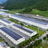 中国、世界の一大抹茶供給源に　内陸部、日本茶人気で生産拡大「世界最大の抹茶生産国」になったと主張