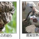 日本人は豆腐メンタル？日本独特の『浮いてはいけない』という“対人恐怖”　鋼の精神の作り方は？