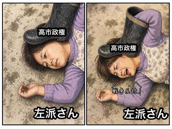 「主婦を悪者に」専門家が警鐘　高市政権の“主婦年金”改悪への懸念…「剥ぎ取り」と不安の声も：コメント2